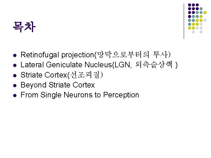 목차 l l l Retinofugal projection(망막으로부터의 투사) Lateral Geniculate Nucleus(LGN, 외측슬상핵 ) Striate Cortex(선조피질)