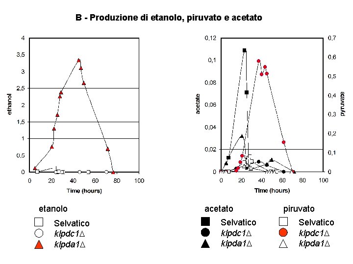 B - Produzione di etanolo, piruvato e acetato etanolo Selvatico klpdc 1 klpda 1