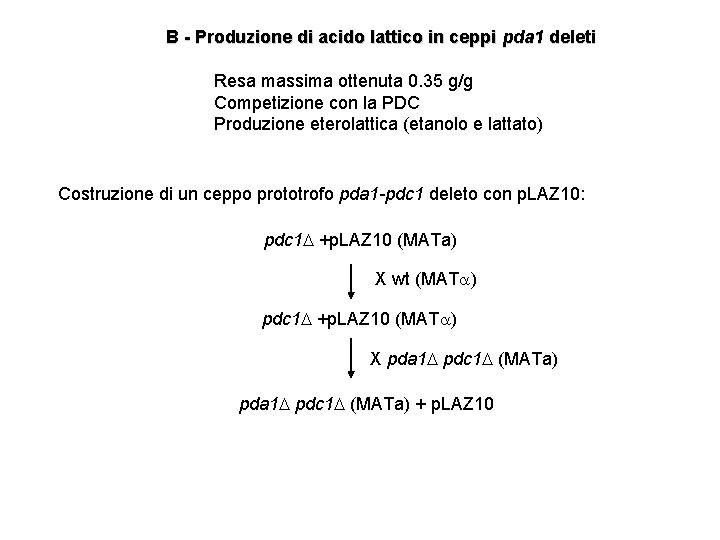 B - Produzione di acido lattico in ceppi pda 1 deleti Resa massima ottenuta