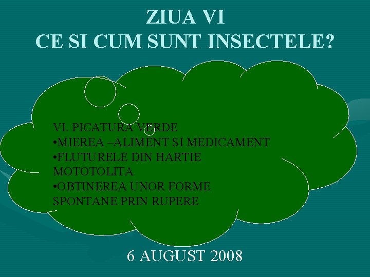 ZIUA VI CE SI CUM SUNT INSECTELE? VI. PICATURA VERDE • MIEREA –ALIMENT SI