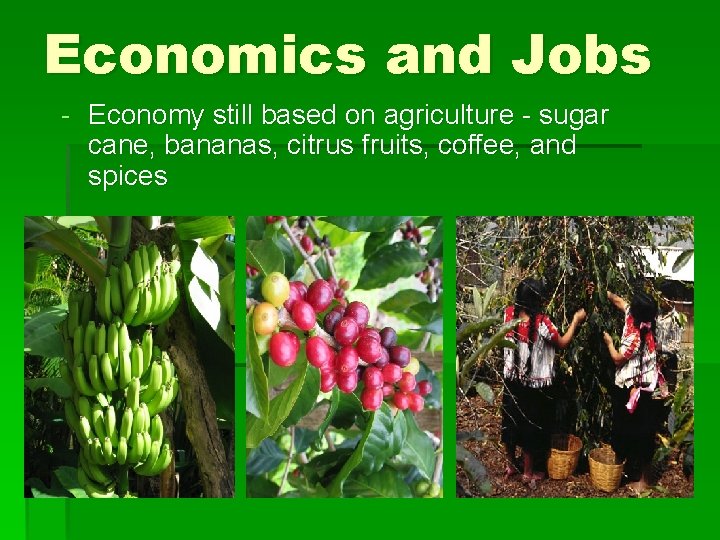 Economics and Jobs - Economy still based on agriculture - sugar cane, bananas, citrus