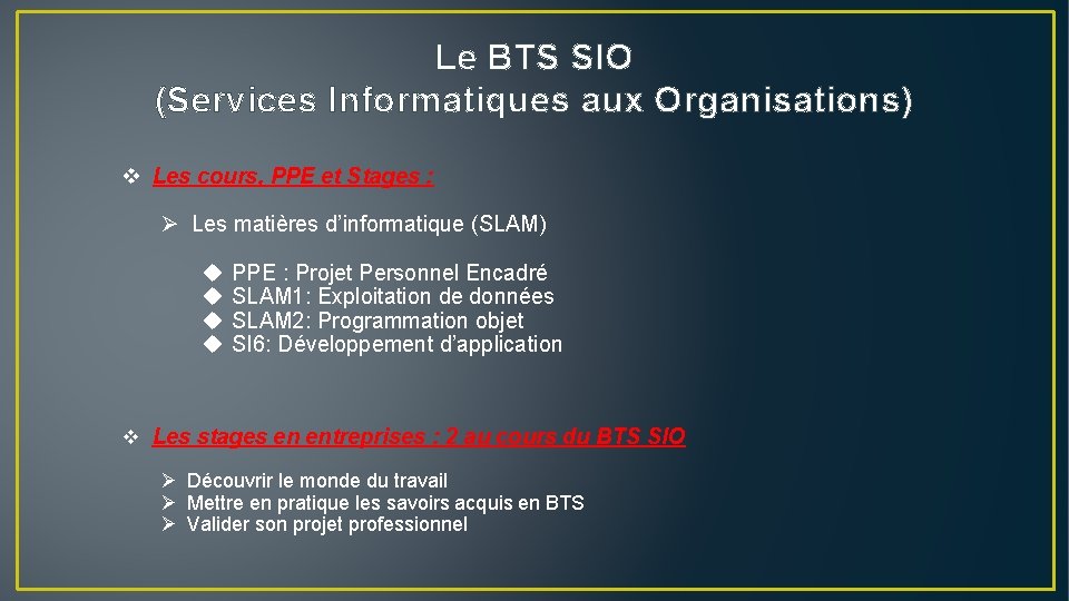 Le BTS SIO (Services Informatiques aux Organisations) v Les cours, PPE et Stages :