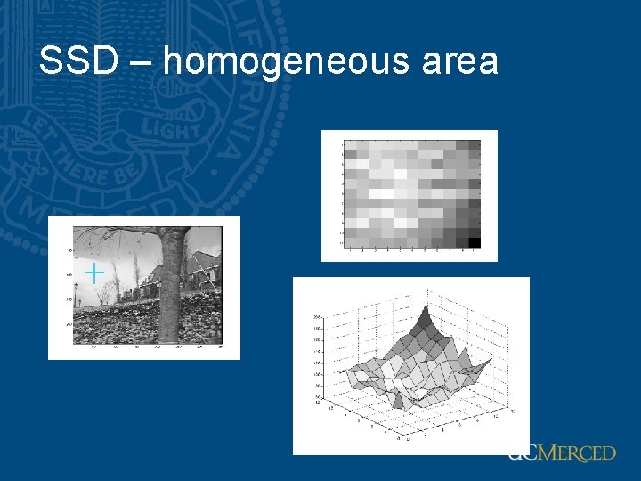 SSD – homogeneous area 
