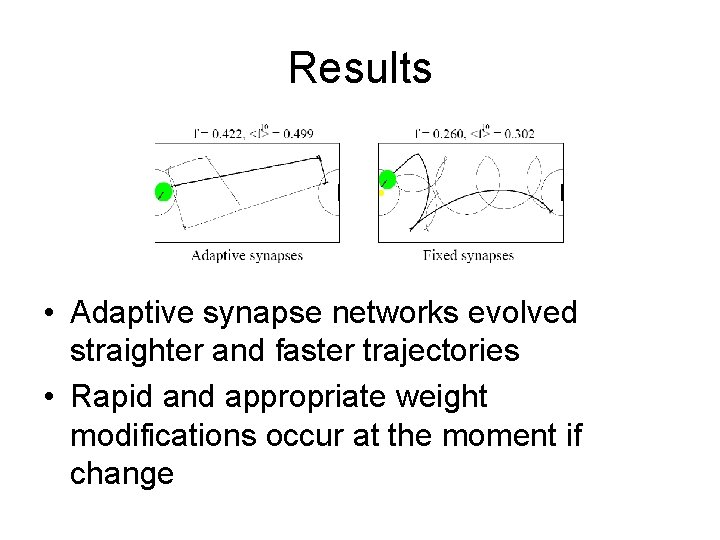Results • Adaptive synapse networks evolved straighter and faster trajectories • Rapid and appropriate