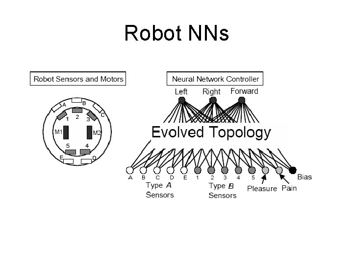 Robot NNs 
