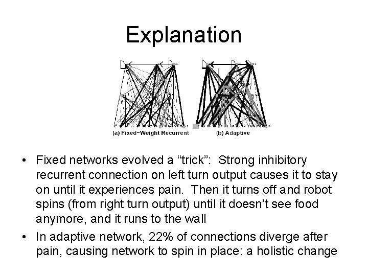 Explanation • Fixed networks evolved a “trick”: Strong inhibitory recurrent connection on left turn