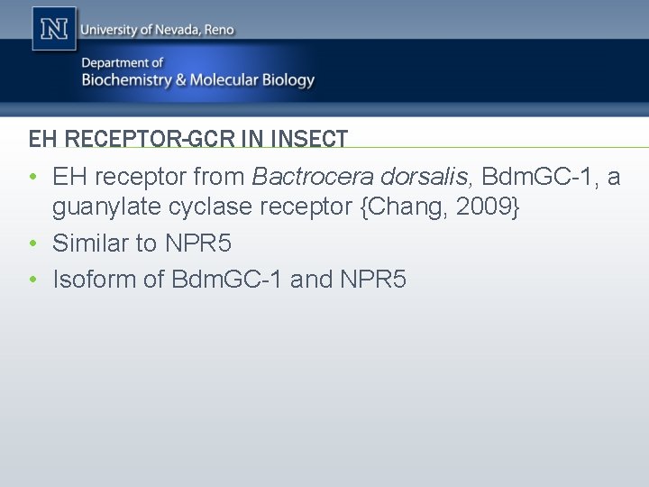 EH RECEPTOR-GCR IN INSECT • EH receptor from Bactrocera dorsalis, Bdm. GC-1, a guanylate