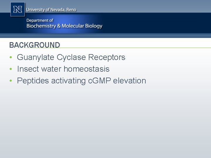 BACKGROUND • Guanylate Cyclase Receptors • Insect water homeostasis • Peptides activating c. GMP