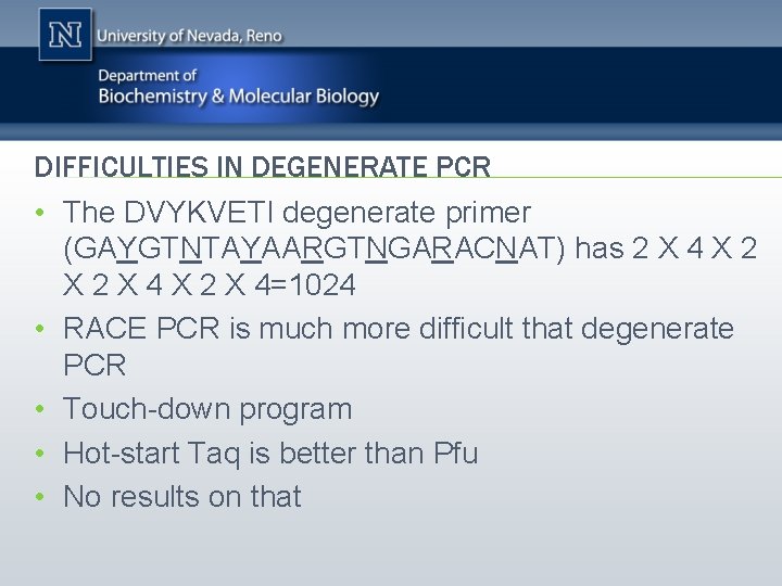 DIFFICULTIES IN DEGENERATE PCR • The DVYKVETI degenerate primer (GAYGTNTAYAARGTNGARACNAT) has 2 X 4