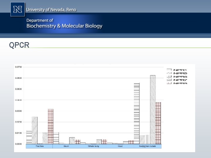 QPCR 