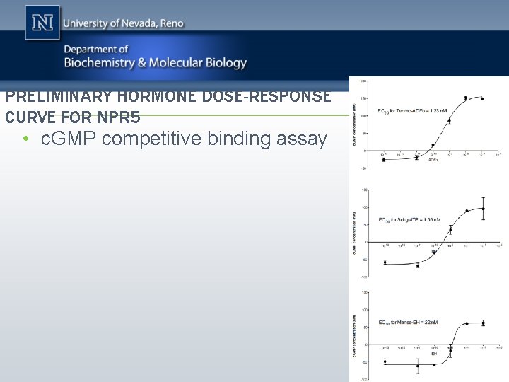 PRELIMINARY HORMONE DOSE-RESPONSE CURVE FOR NPR 5 • c. GMP competitive binding assay 