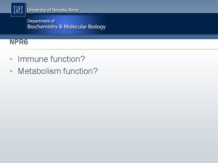 NPR 6 • Immune function? • Metabolism function? 