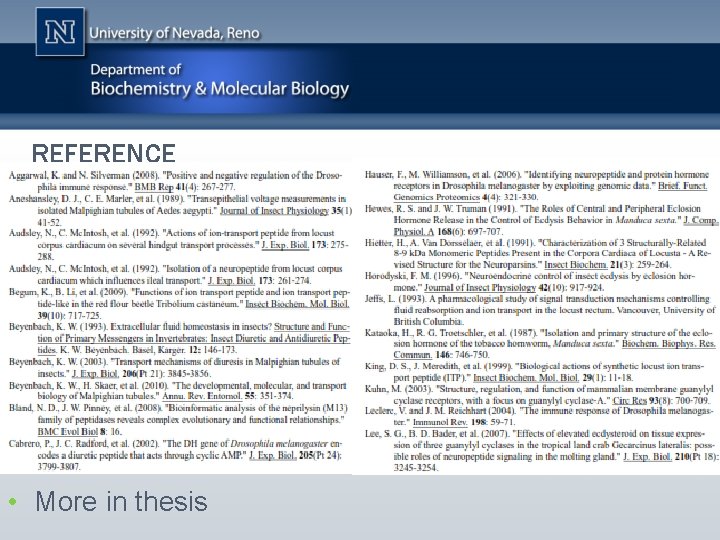 REFERENCE • More in thesis 