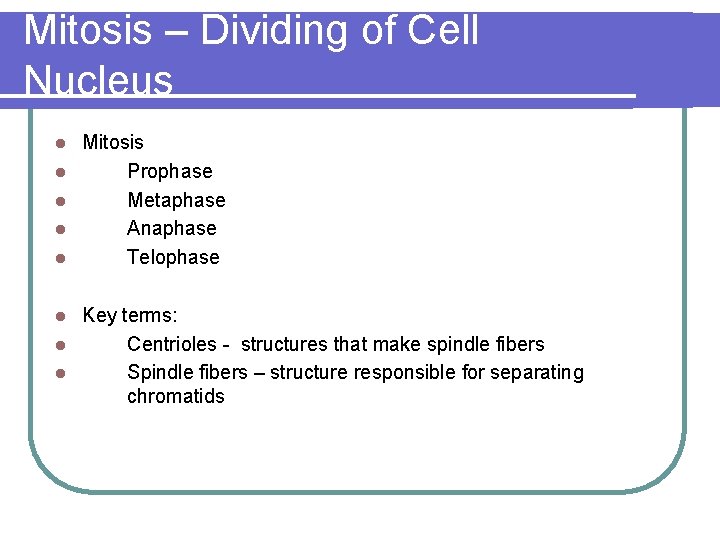Mitosis – Dividing of Cell Nucleus l l l Mitosis Prophase Metaphase Anaphase Telophase