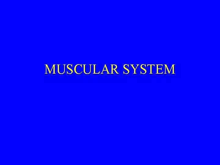 MUSCULAR SYSTEM 