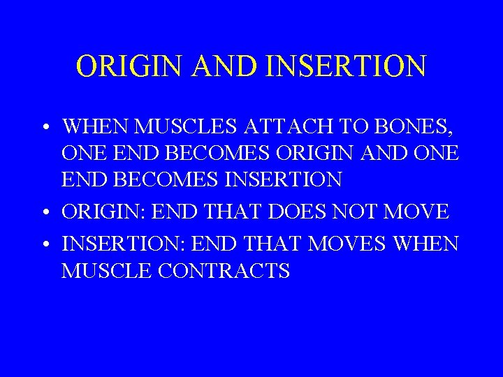 ORIGIN AND INSERTION • WHEN MUSCLES ATTACH TO BONES, ONE END BECOMES ORIGIN AND