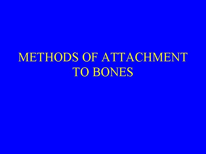 METHODS OF ATTACHMENT TO BONES 
