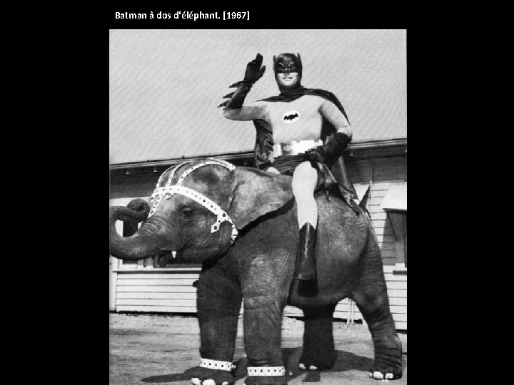 Batman à dos d'éléphant. [1967] 