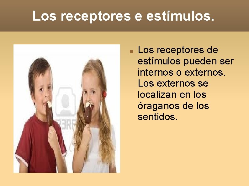 Los receptores e estímulos. Los receptores de estímulos pueden ser internos o externos. Los