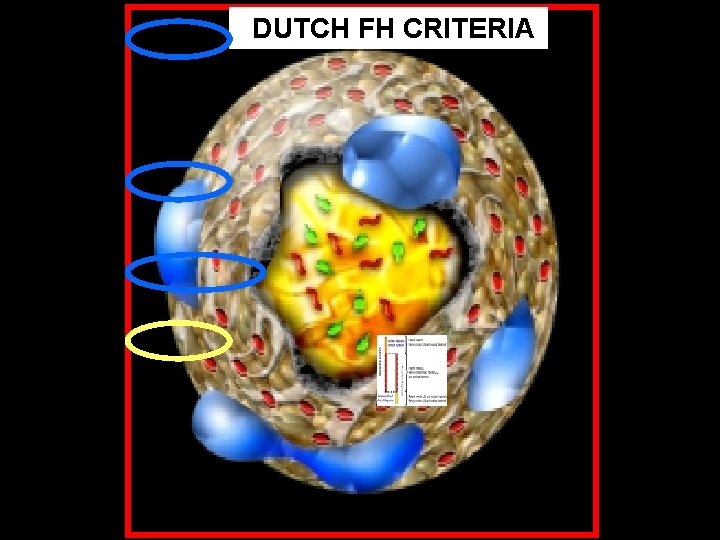 DUTCH FH CRITERIA 