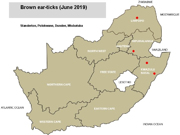 Brown ear-ticks (June 2019) jkccff Standerton, Polokwane, Dundee, Mtuba 