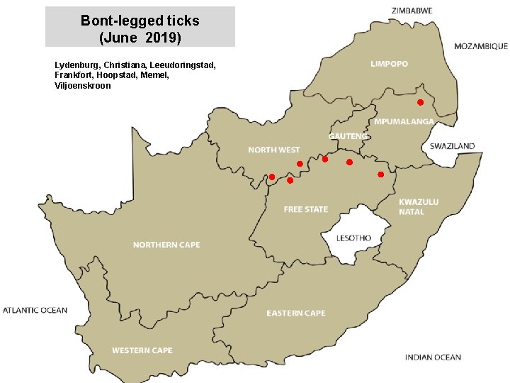 Bont-legged ticks (June 2019) Lydenburg, Christiana, Leeudoringstad, Frankfort, Hoopstad, Memel, Viljoenskroon 