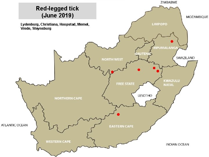 Red-legged tick (June 2019) Lydenburg, Christiana, Hoopstad, Memel, Vrede, Steynsburg jkccff 