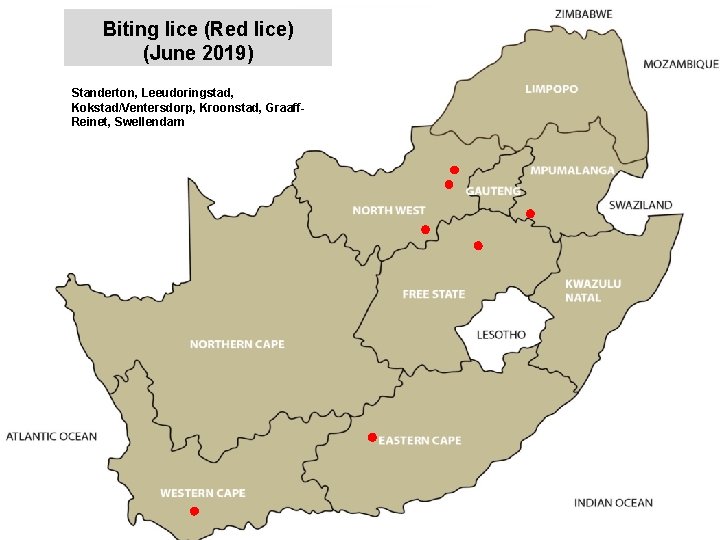 Biting lice (Red lice) (June 2019) Standerton, Leeudoringstad, Kokstad/Ventersdorp, Kroonstad, Graaff. Reinet, Swellendam jkccff