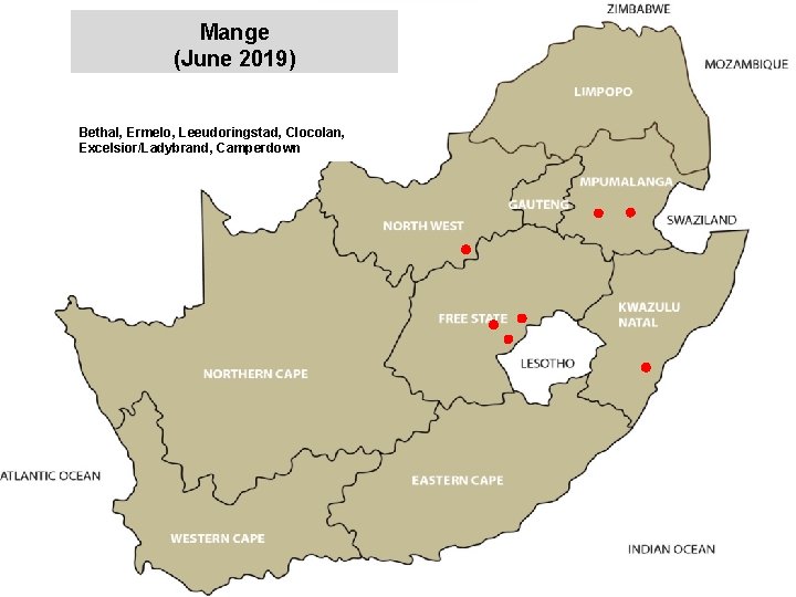 Mange (June 2019) jkccff Bethal, Ermelo, Leeudoringstad, Clocolan, Excelsior/Ladybrand, Camperdown 