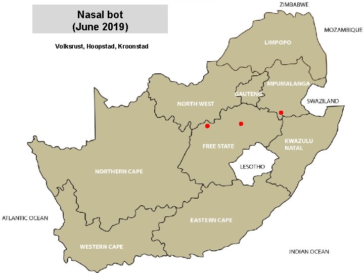 Nasal bot (June 2019) Volksrust, Hoopstad, Kroonstad jkccff 