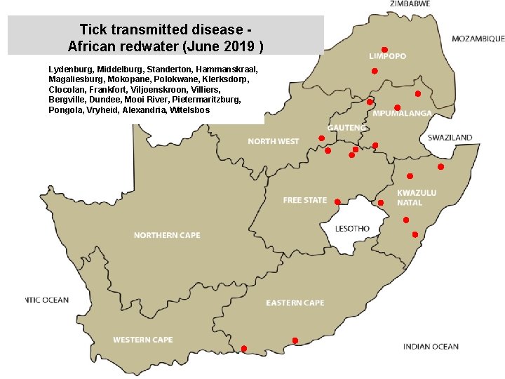 Tick transmitted disease African redwater (June 2019 ) Lydenburg, Middelburg, Standerton, Hammanskraal, Magaliesburg, Mokopane,