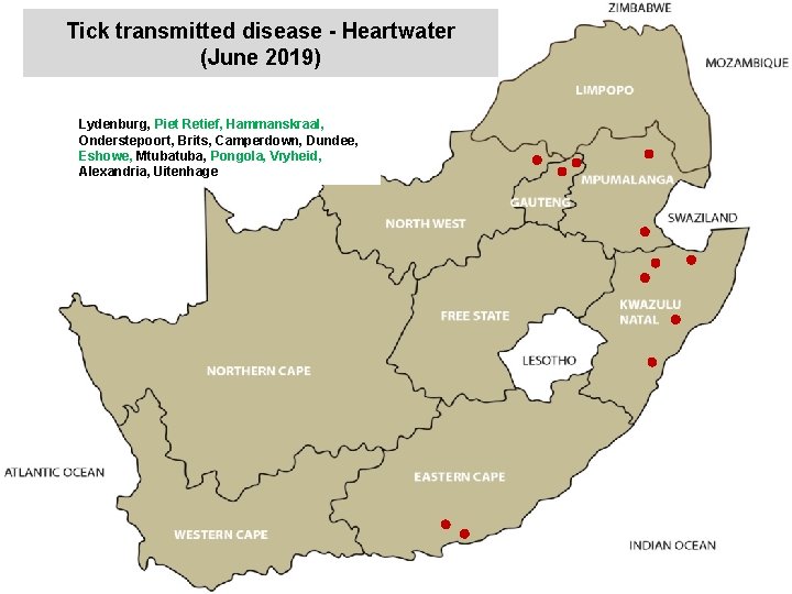 Tick transmitted disease - Heartwater (June 2019) Lydenburg, Piet Retief, Hammanskraal, Onderstepoort, Brits, Camperdown,