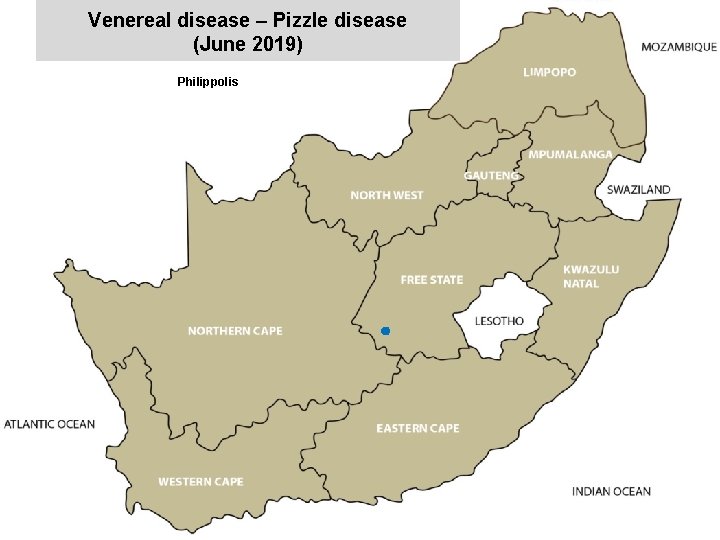 Venereal disease – Pizzle disease (June 2019) Philippolis x 