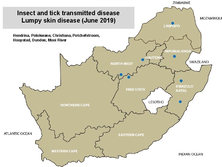 Insect and tick transmitted disease Lumpy skin disease (June 2019) kjkjnmn Hendrina, Polokwane, Christiana,