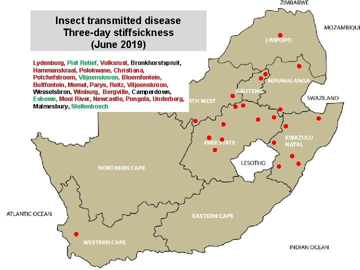 Insect transmitted disease Three-day stiffsickness (June 2019) kjkjnmn Lydenburg, Piet Retief, Volksrust, Bronkhorstspruit, Hammanskraal,