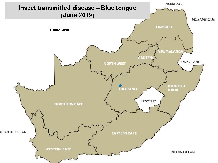 Insect transmitted disease – Blue tongue (June 2019) Bultfontein kjkjnmn 