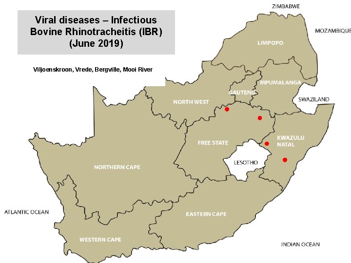 Viral diseases – Infectious Bovine Rhinotracheitis (IBR) (June 2019) kjkjnmn Viljoenskroon, Vrede, Bergville, Mooi