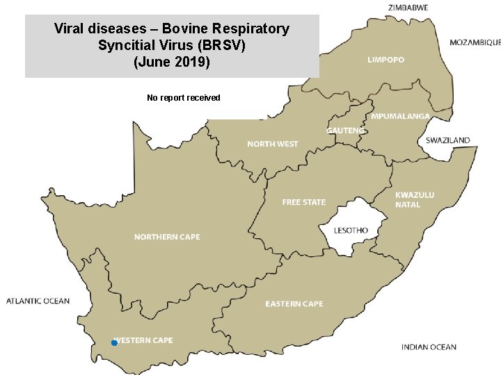 Viral diseases – Bovine Respiratory Syncitial Virus (BRSV) (June 2019) kjkjnmn No report received