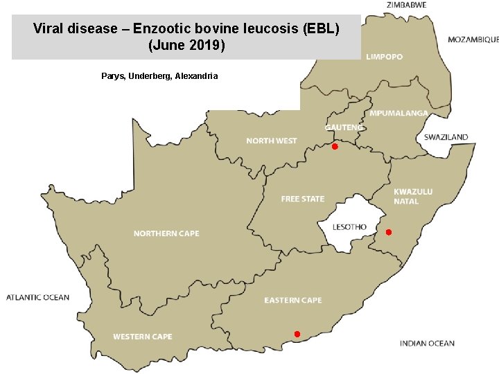 Viral disease – Enzootic bovine leucosis (EBL) (June 2019) kjkjnmn Parys, Underberg, Alexandria 
