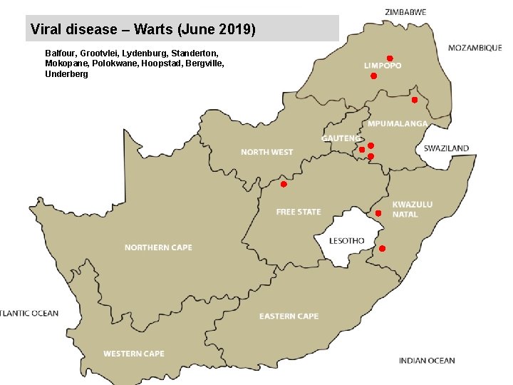 Viral disease – Warts (June 2019) kjkjnmn Balfour, Grootvlei, Lydenburg, Standerton, Mokopane, Polokwane, Hoopstad,