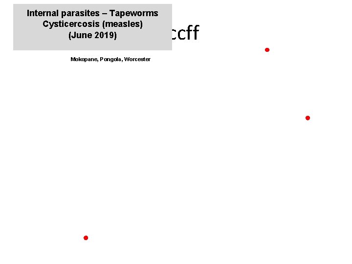 Internal parasites – Tapeworms Cysticercosis (measles) (June 2019) jkccff Mokopane, Pongola, Worcester 00 