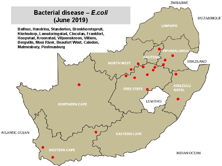 Bacterial disease – E. coli (June 2019) kjkjnmn Balfour, Hendrina, Standerton, Bronkhorstspruit, Klerksdorp, Leeudoringstad,