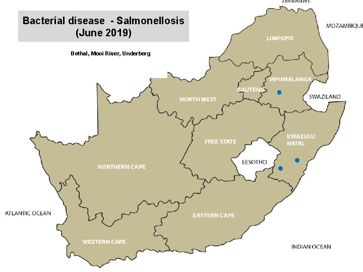 Bacterial disease - Salmonellosis (June 2019) kjkjnmn Bethal, Mooi River, Underberg 