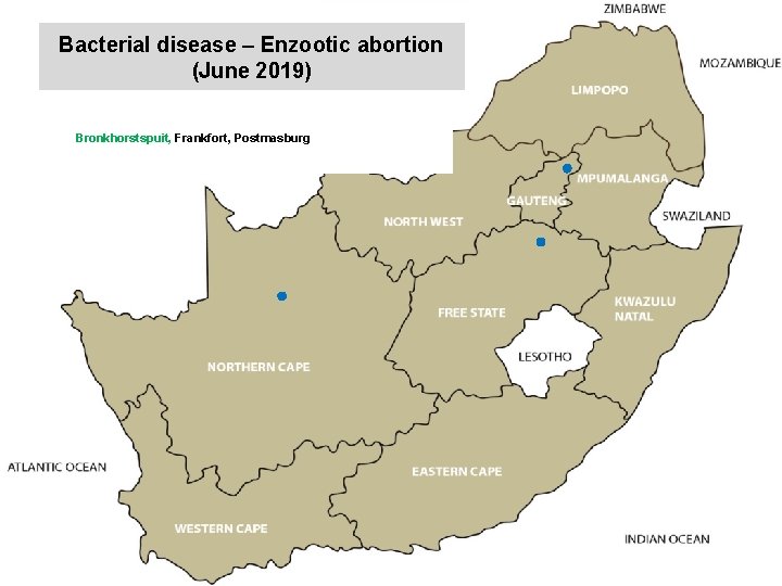 Bacterial disease – Enzootic abortion (June 2019) kjkjnmn Bronkhorstspuit, Frankfort, Postmasburg 