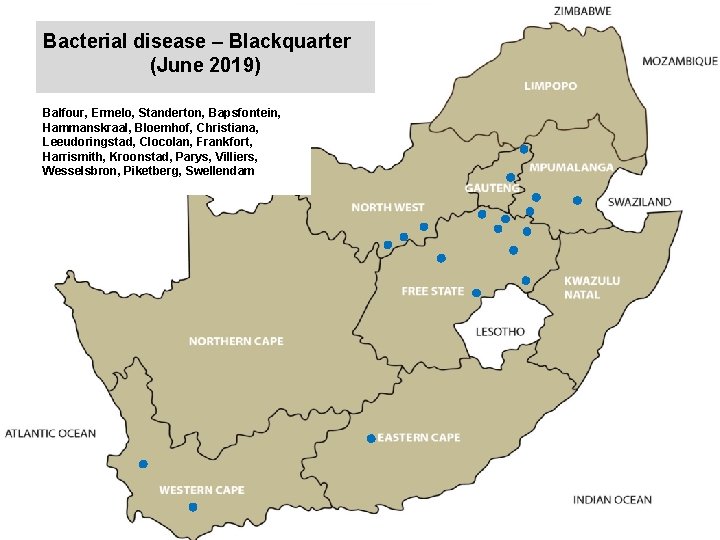 Bacterial disease – Blackquarter (June 2019) kjkjnmn Balfour, Ermelo, Standerton, Bapsfontein, Hammanskraal, Bloemhof, Christiana,