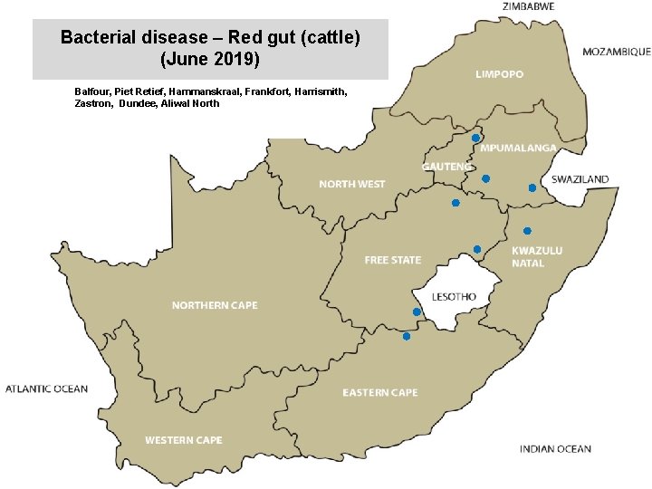 Bacterial disease – Red gut (cattle) (June 2019) kjkjnmn Balfour, Piet Retief, Hammanskraal, Frankfort,