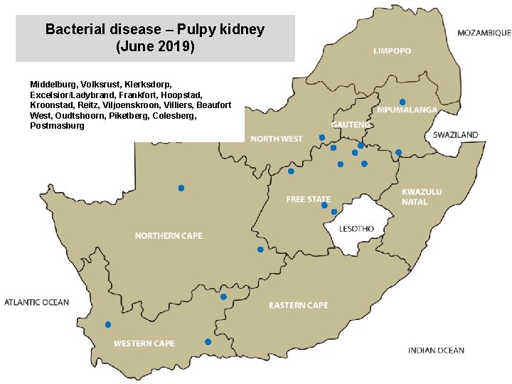 Bacterial disease – Pulpy kidney (June 2019) kjkjnmn Middelburg, Volksrust, Klerksdorp, Excelsior/Ladybrand, Frankfort, Hoopstad,