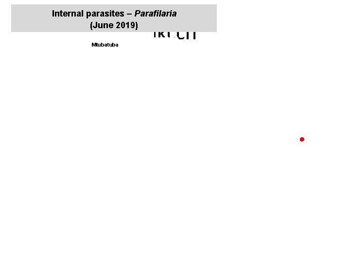 Internal parasites – Parafilaria (June 2019) Mtuba jkccff 