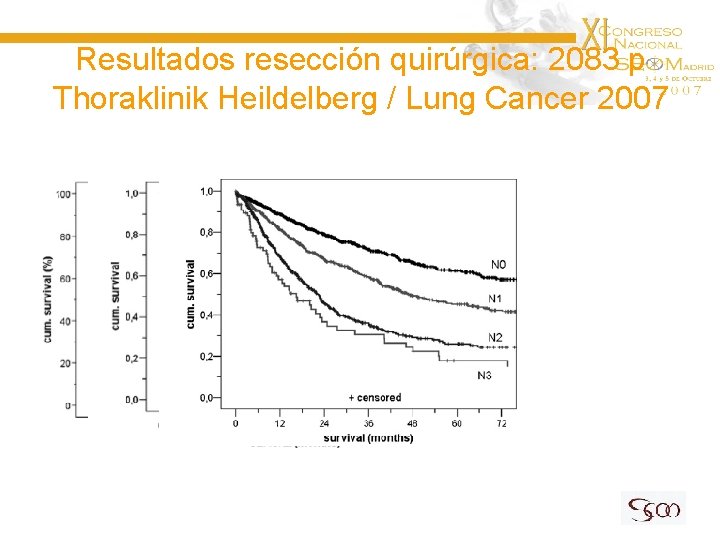 Resultados resección quirúrgica: 2083 p Thoraklinik Heildelberg / Lung Cancer 2007 