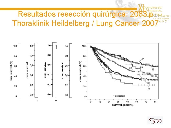 Resultados resección quirúrgica: 2083 p Thoraklinik Heildelberg / Lung Cancer 2007 